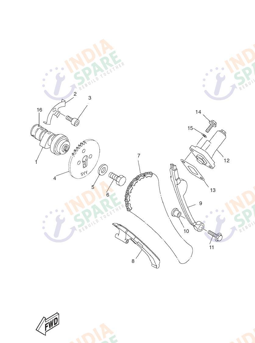 CAMSHAFT & CHAIN